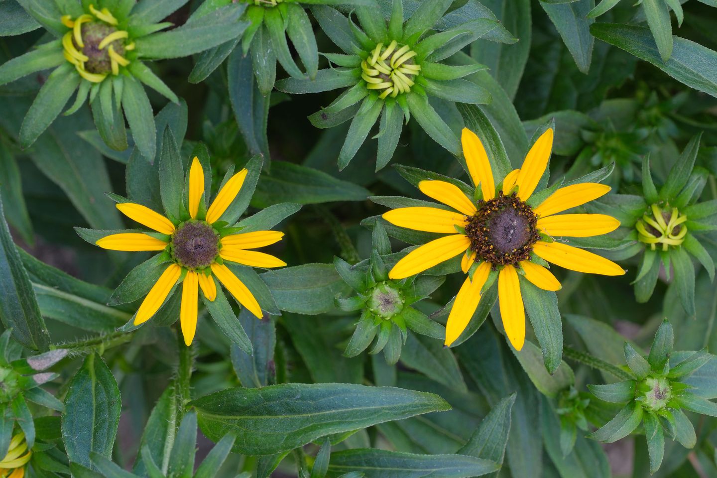 Foto 25 van Mr. G.J. ter Kuilelaan 29