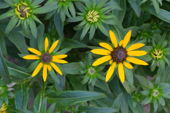 Foto 25 van Mr. G.J. ter Kuilelaan 29