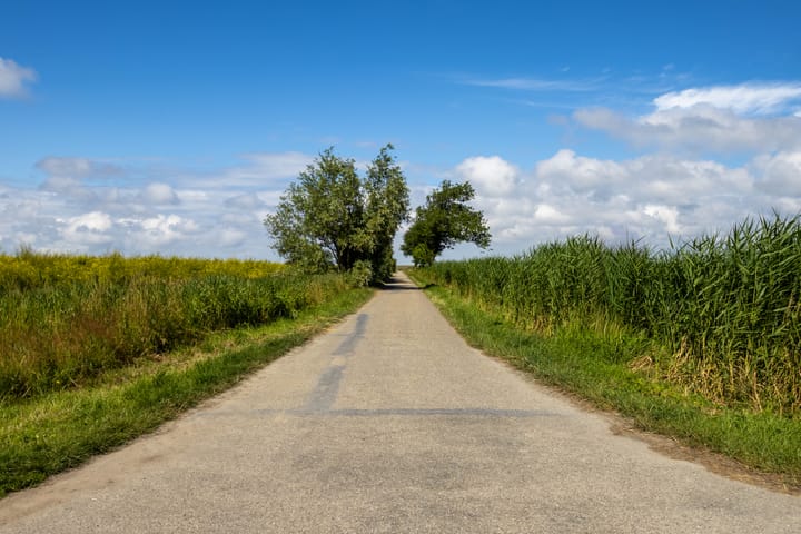 Foto 42 van Noarderwei 10