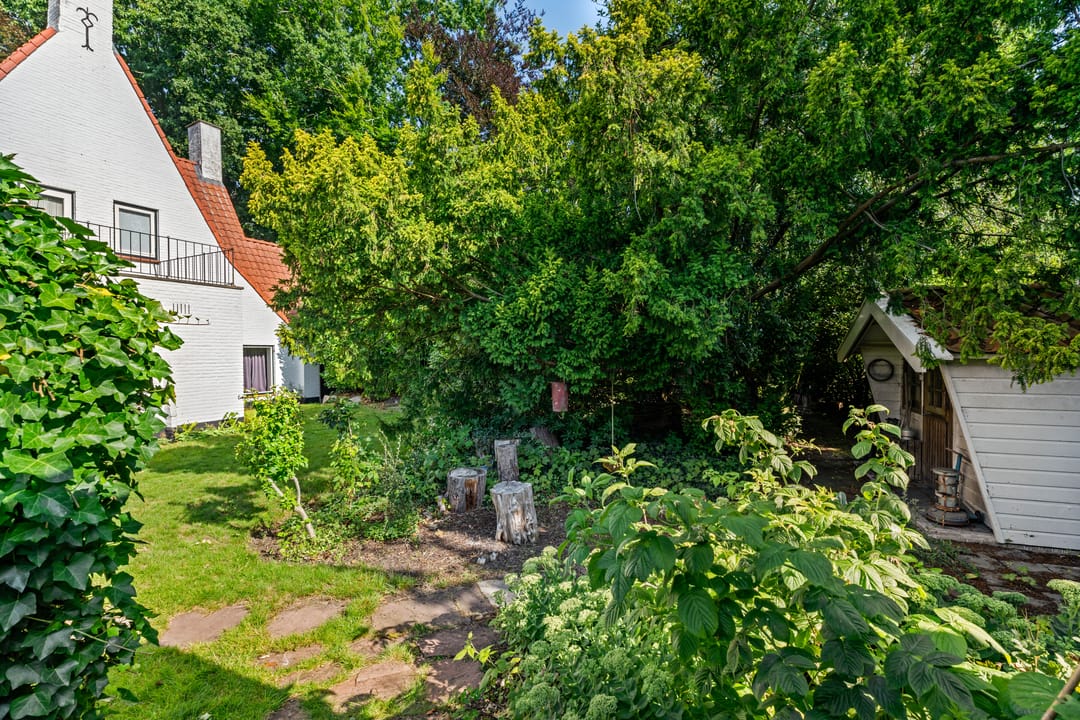 Foto 31 van Hamseweg 87