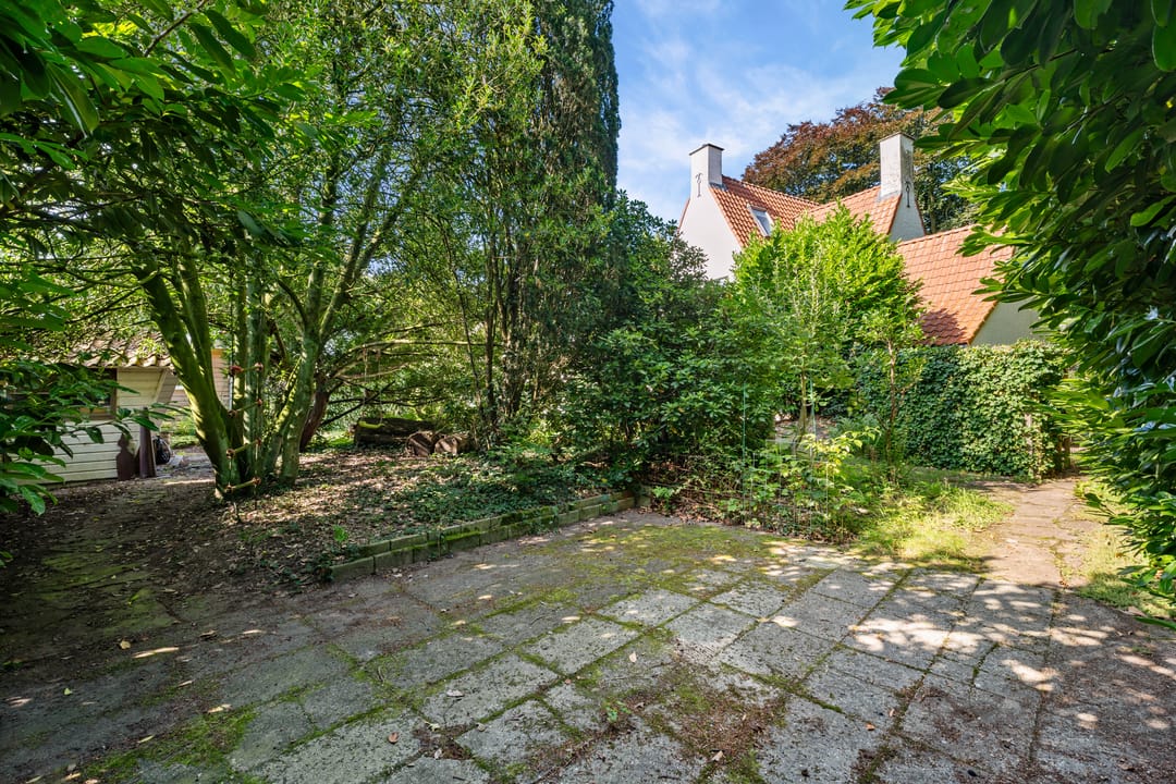 Foto 37 van Hamseweg 87