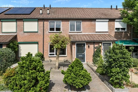 undefined main image