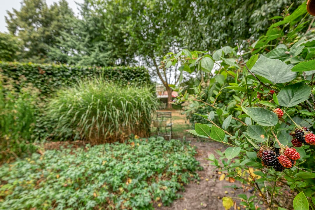 Foto 58 van Griendtsveenseweg 9