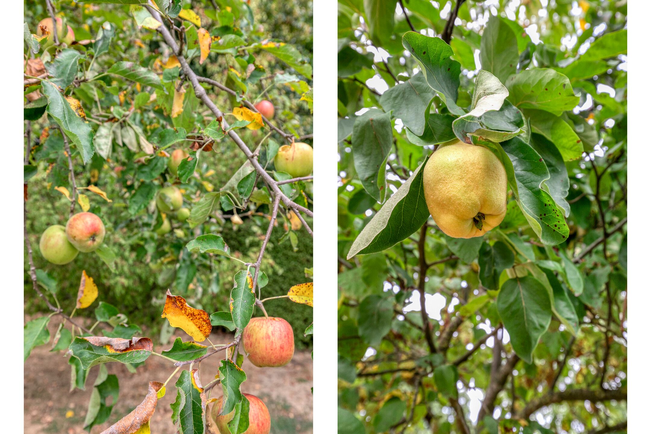 Foto 63 van Griendtsveenseweg 9