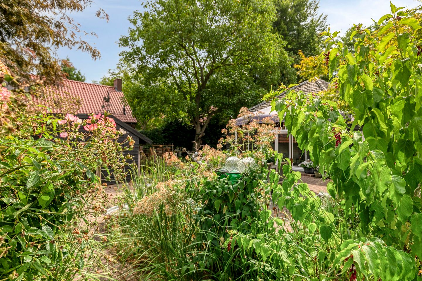 Foto 65 van Griendtsveenseweg 9