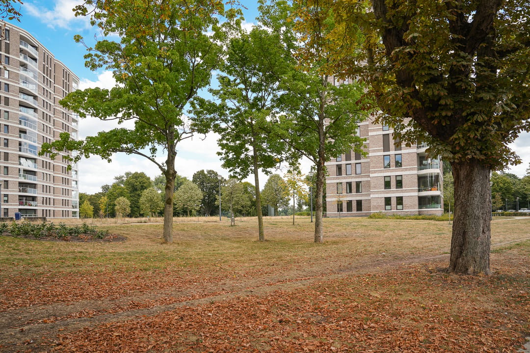 Photo 38 of Geldersedam 65