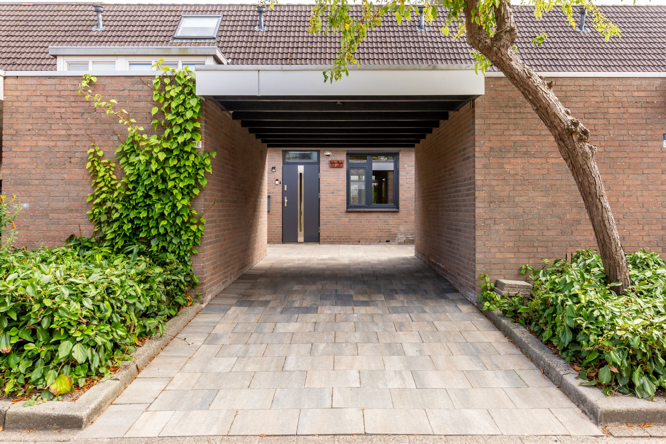 Photo 33 of Kamp 16 36