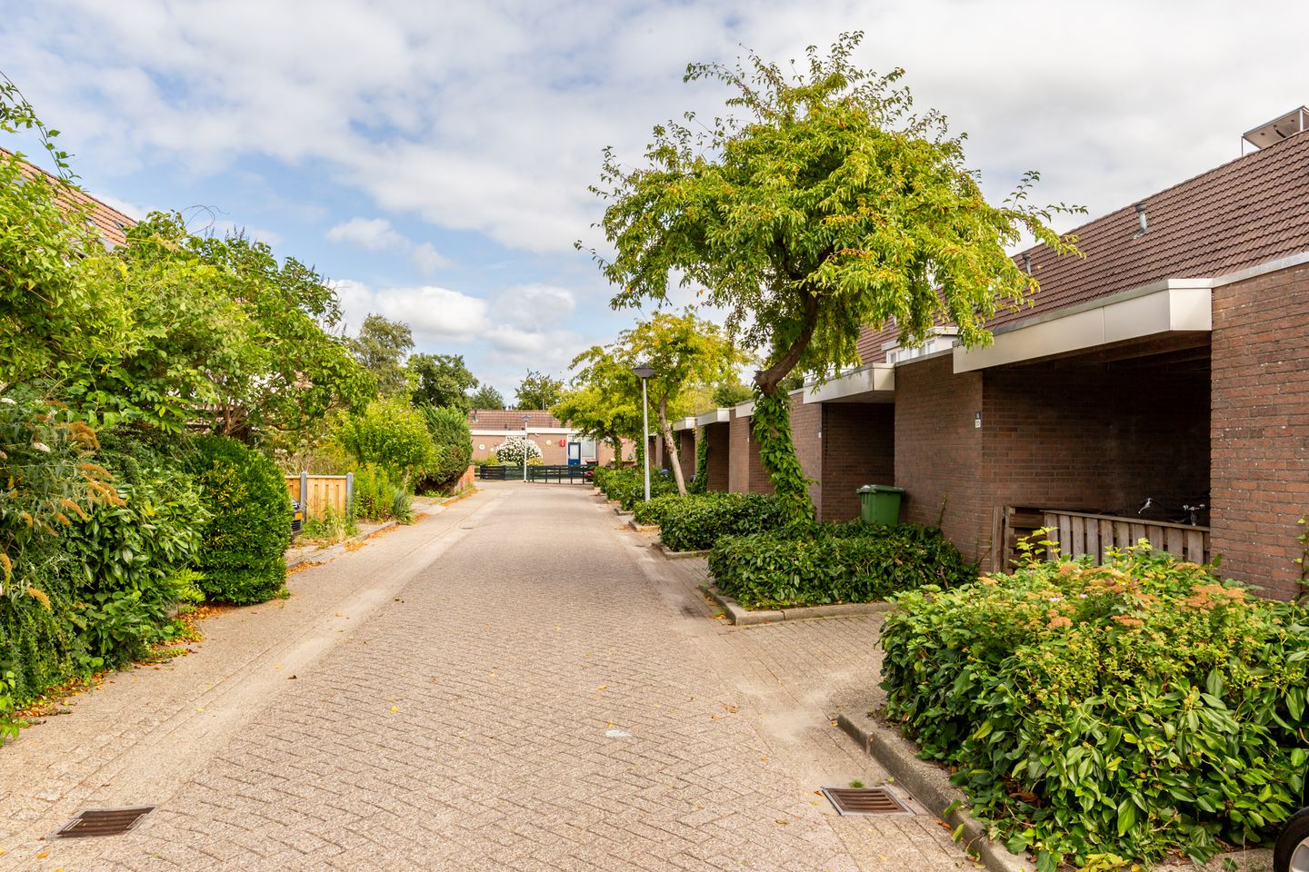 Photo 35 of Kamp 16 36