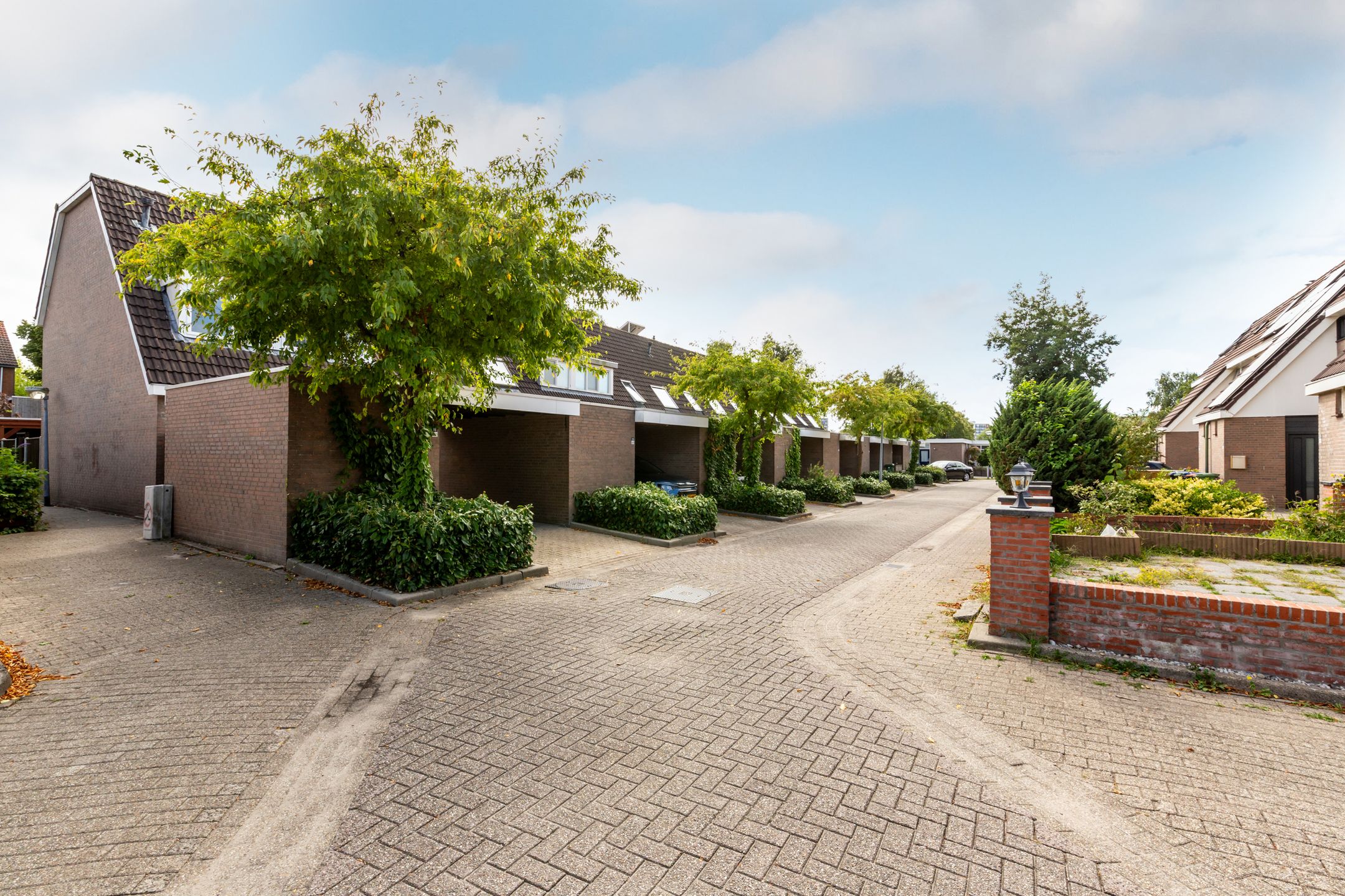 Photo 36 of Kamp 16 36