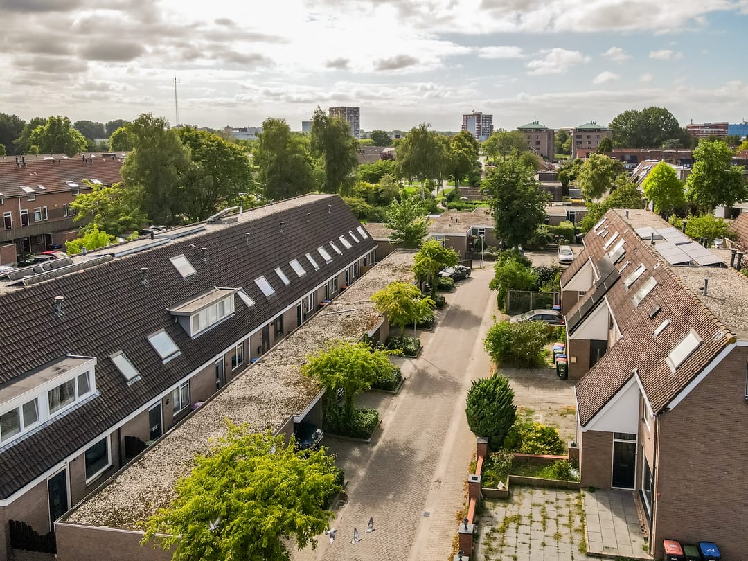 Photo 38 of Kamp 16 36