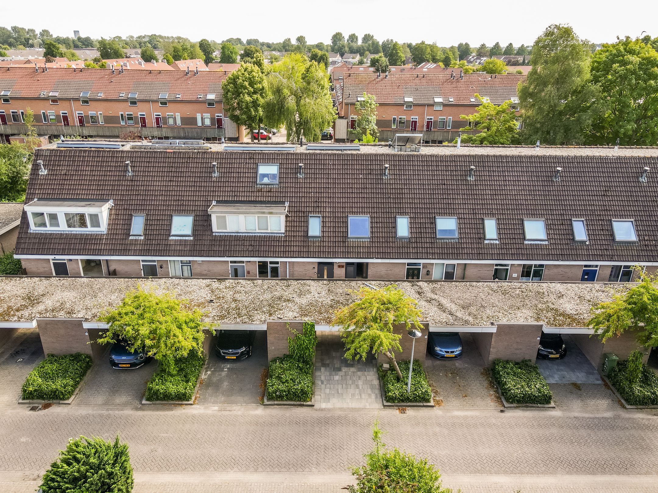 Photo 39 of Kamp 16 36