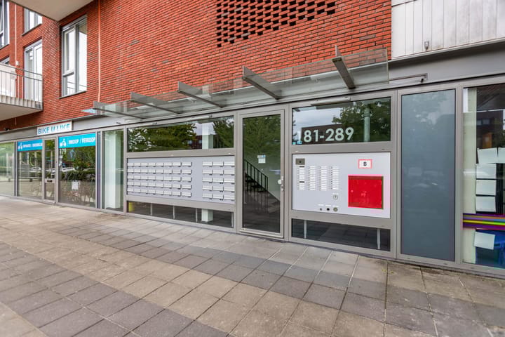 Foto 4 van El Grecostraat 187