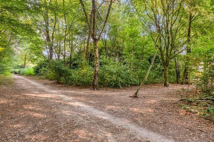 Foto 45 van Averbodestraat 25