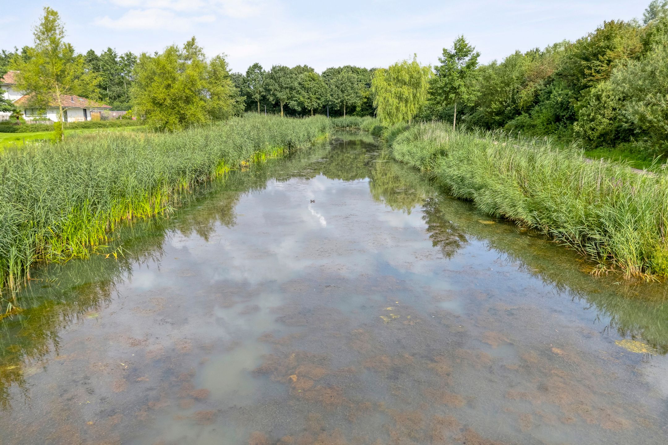 Photo 75 of Oude Marswal 40