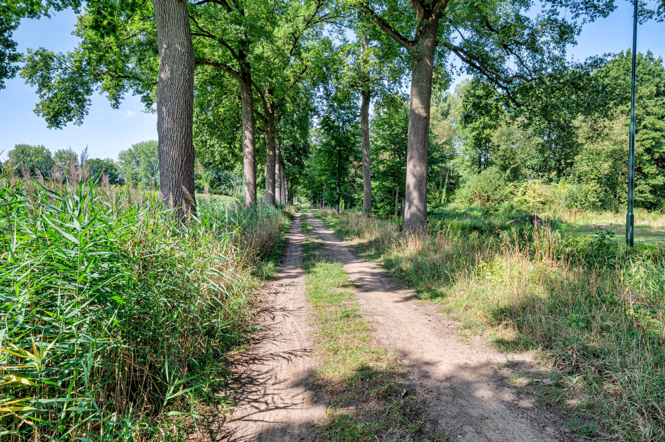 Photo 33 of Schietwilg 14