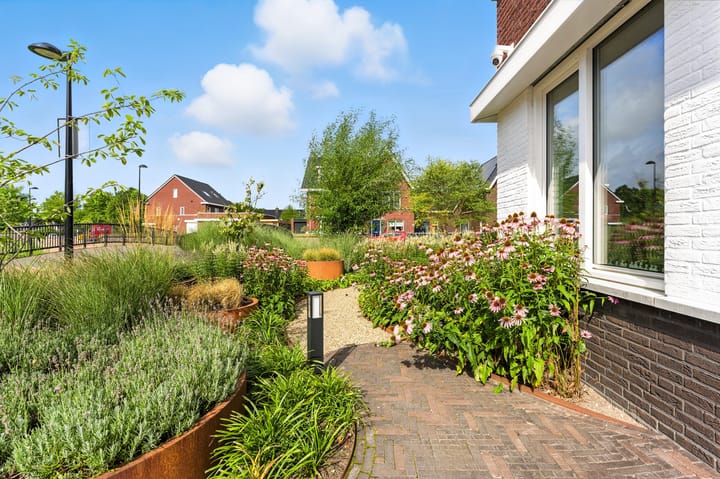 Foto 53 van Raapzaadhof 1