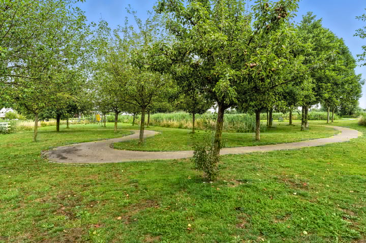 Foto 66 van Raapzaadhof 1