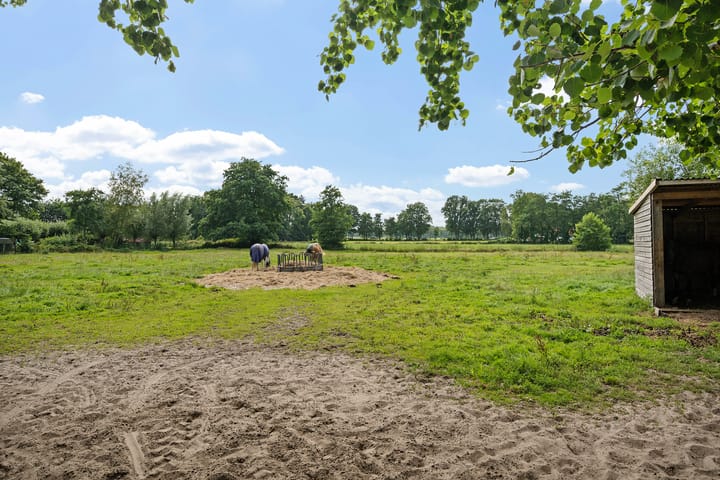 Foto 44 van De Heide 4