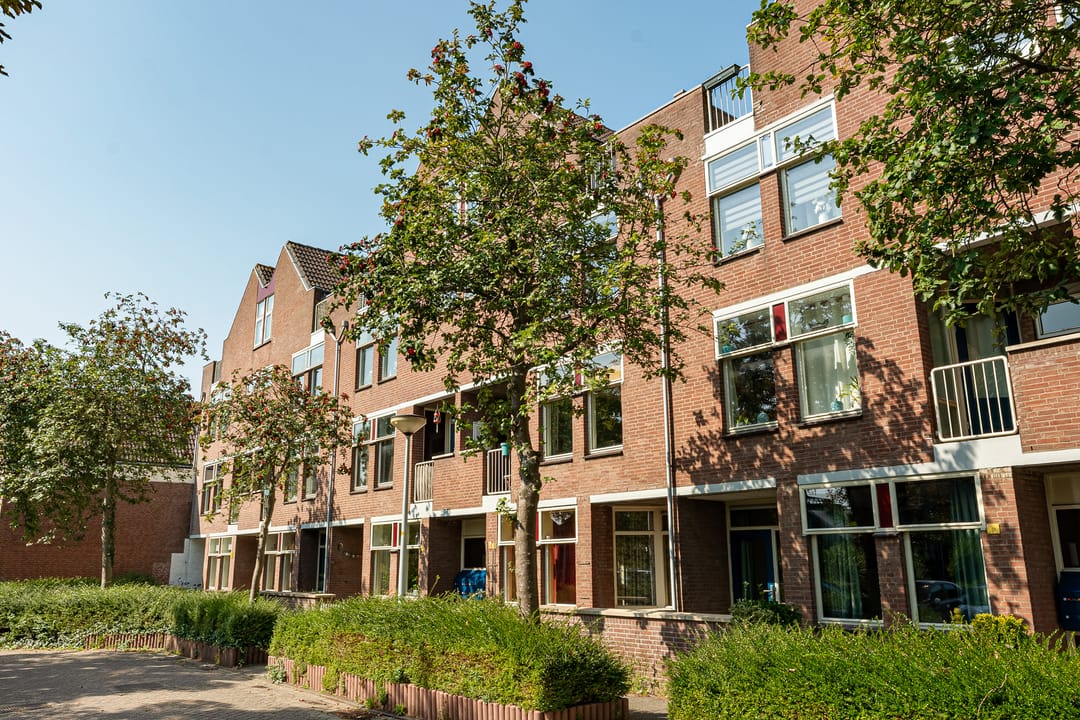 Foto 1 van Boeierstraat 25