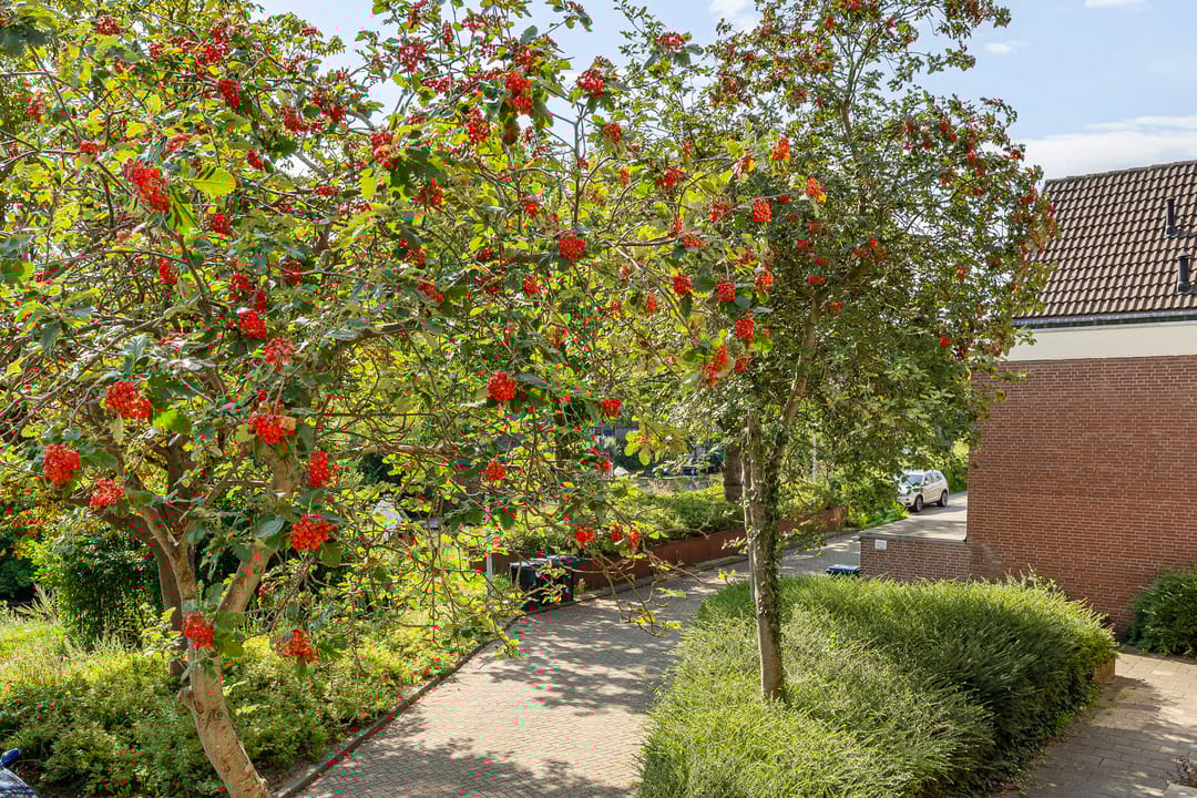 Foto 41 van Boeierstraat 25