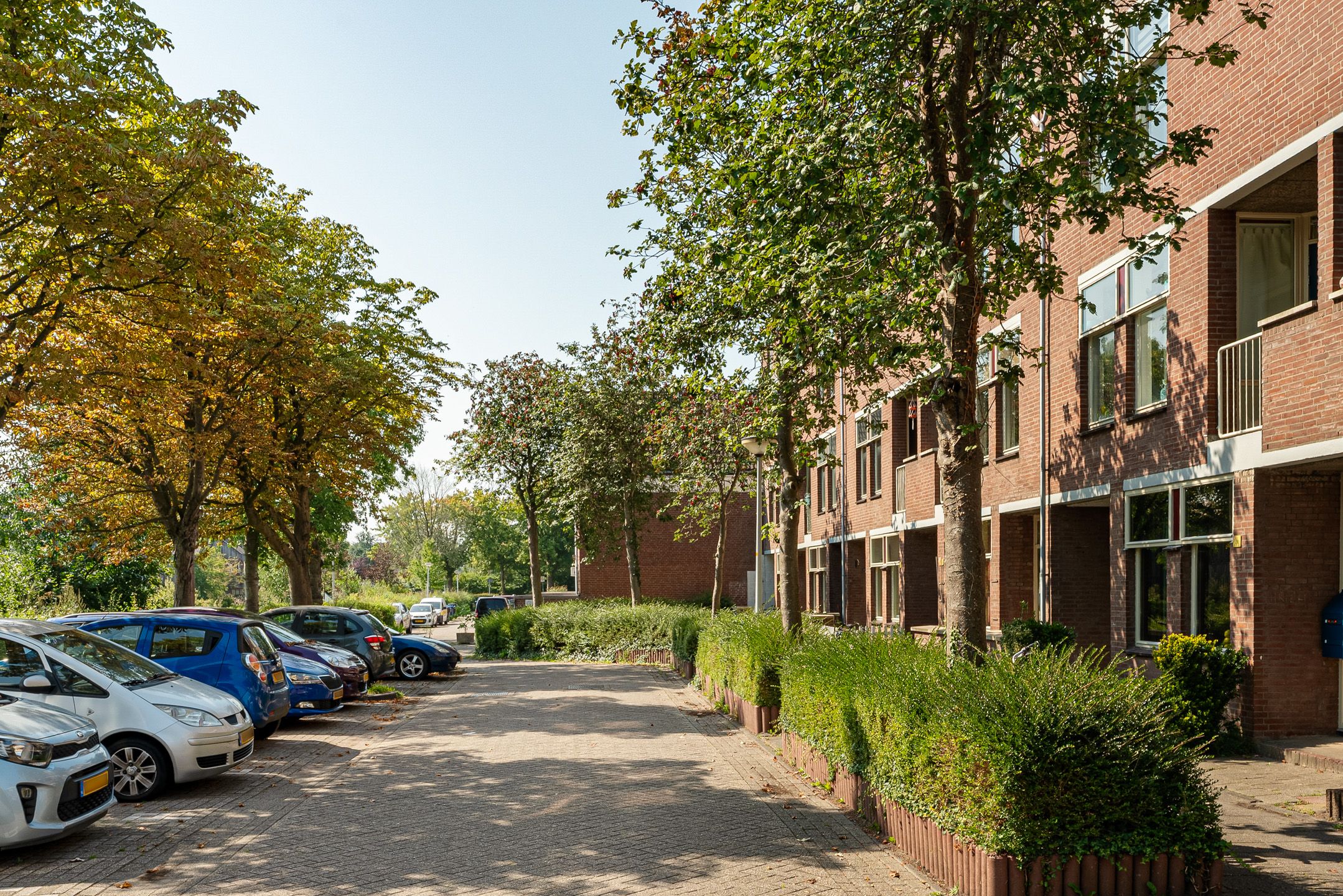 Foto 42 van Boeierstraat 25