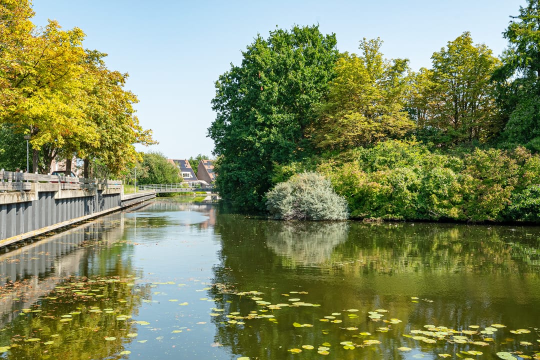 Foto 38 van Boeierstraat 25