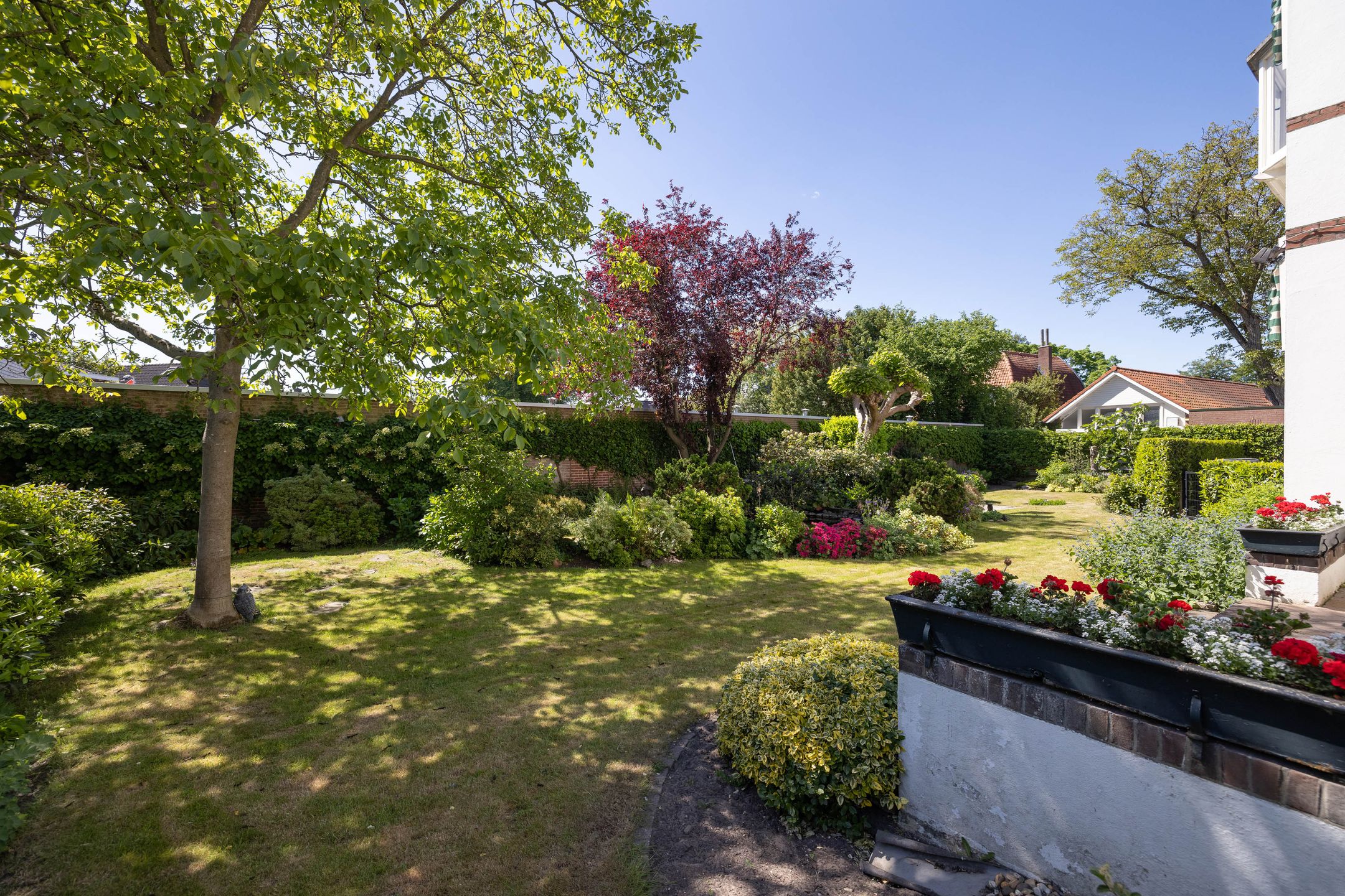 Foto 45 van Paul Krugerstraat 43