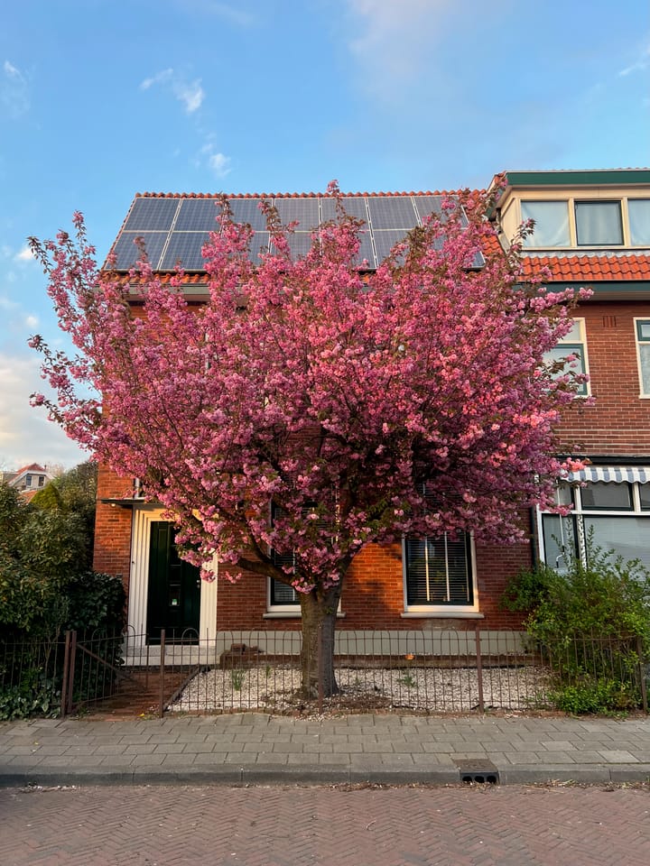 Foto 50 van Haitsma Mulierweg 2-IV