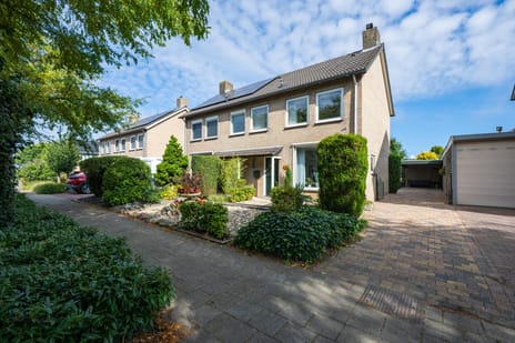 undefined main image