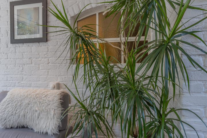 Foto 8 van Kennedysingel 53