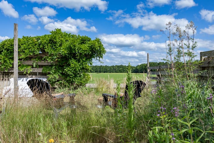 Foto 43 van Meester Zuidemastraat 57