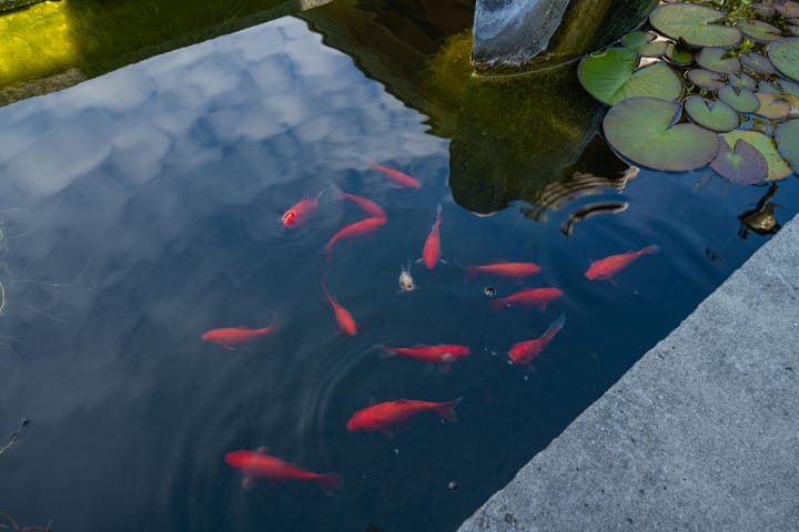 Foto 47 van Kennedysingel 53