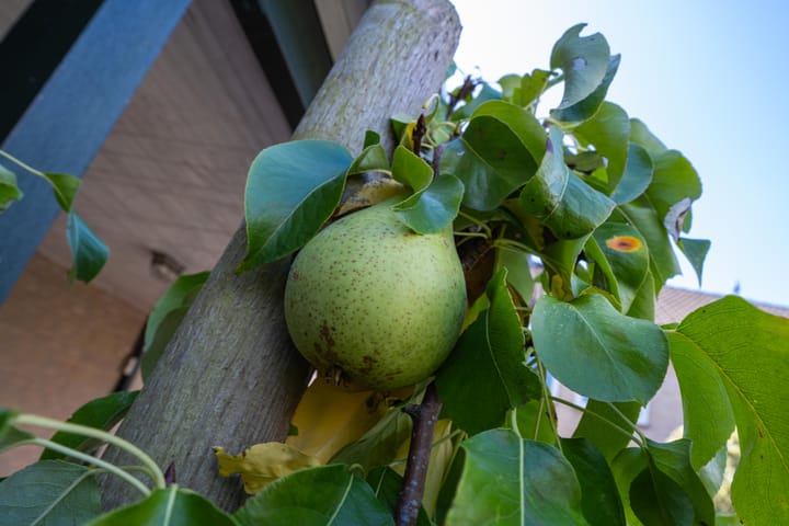 Foto 51 van Kennedysingel 53