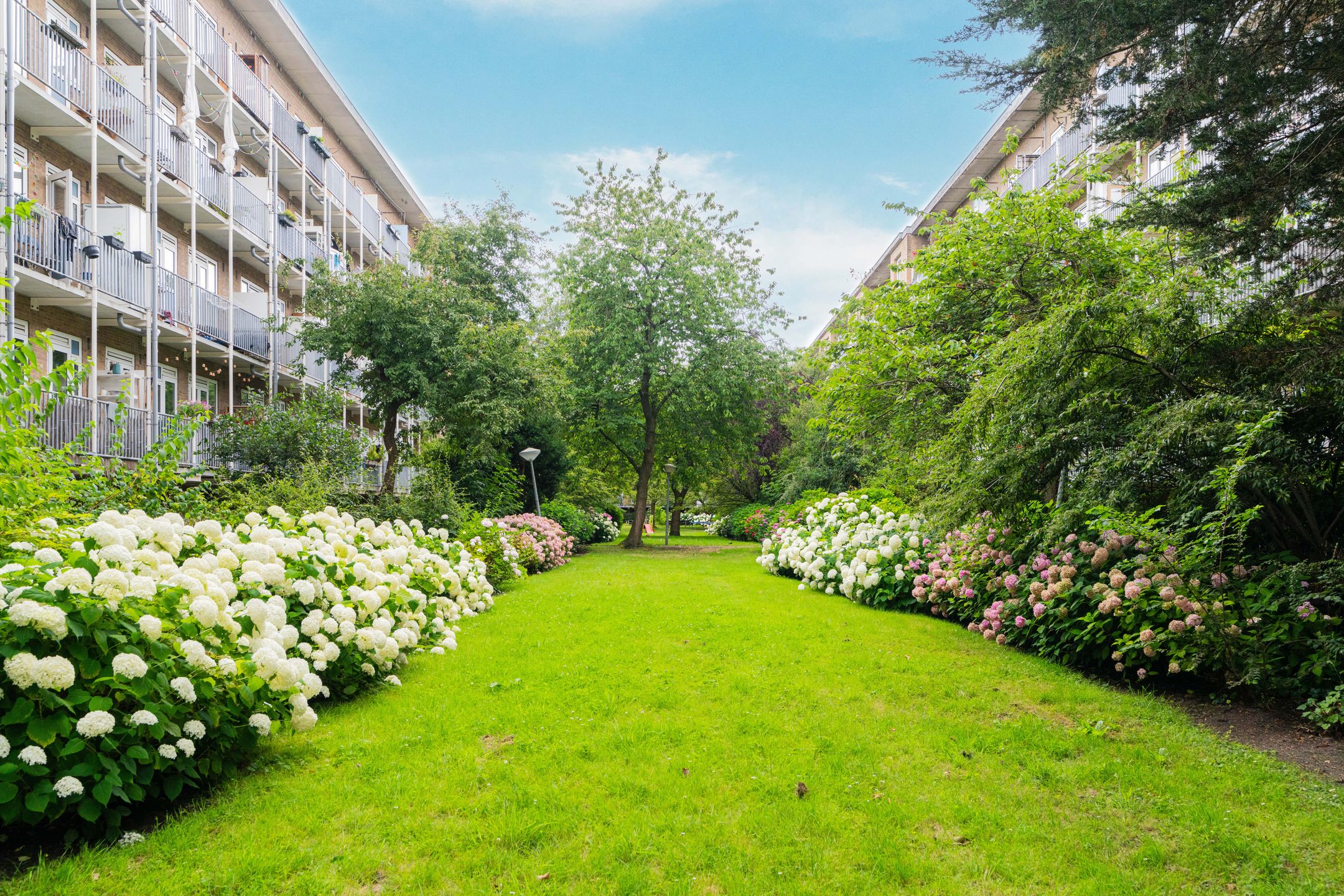 Photo 21 of Willem de Zwijgerlaan 54-H