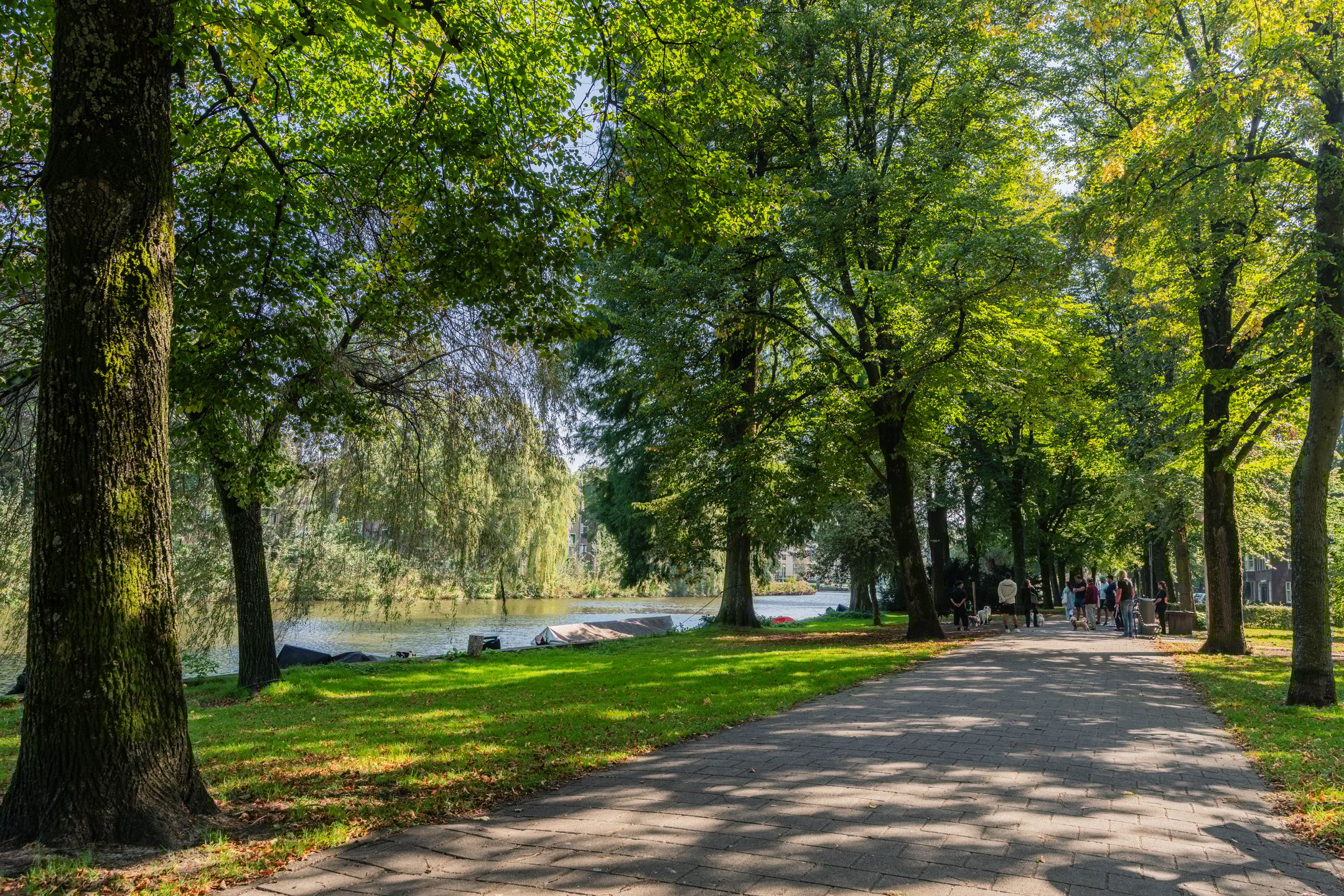 Photo 30 of Willem de Zwijgerlaan 54-H