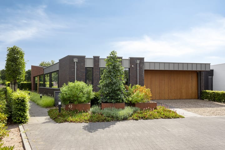 Foto 1 van Vijfvingerkruid 46