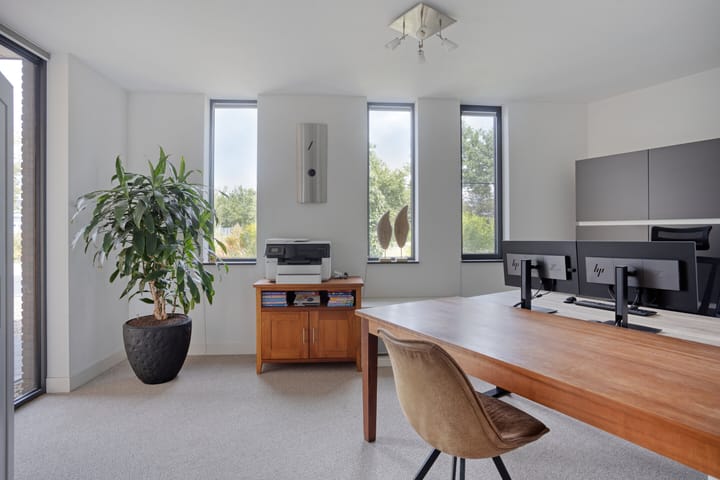 Foto 4 van Vijfvingerkruid 46