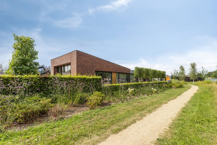 Foto 7 van Vijfvingerkruid 46