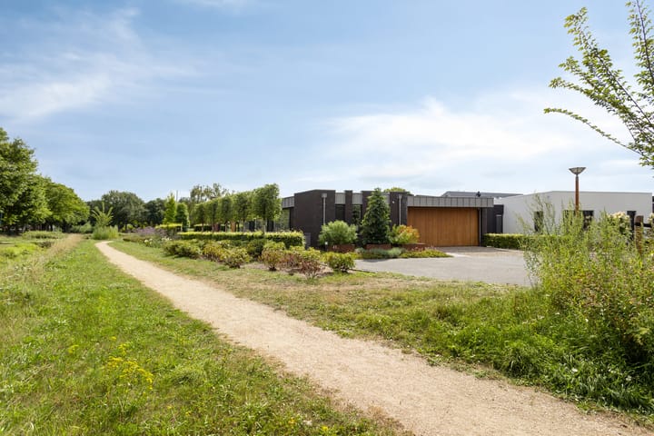 Foto 8 van Vijfvingerkruid 46