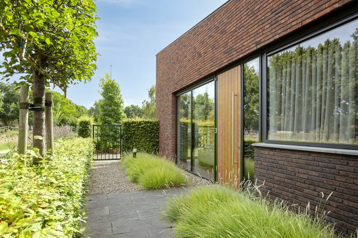 Foto 10 van Vijfvingerkruid 46