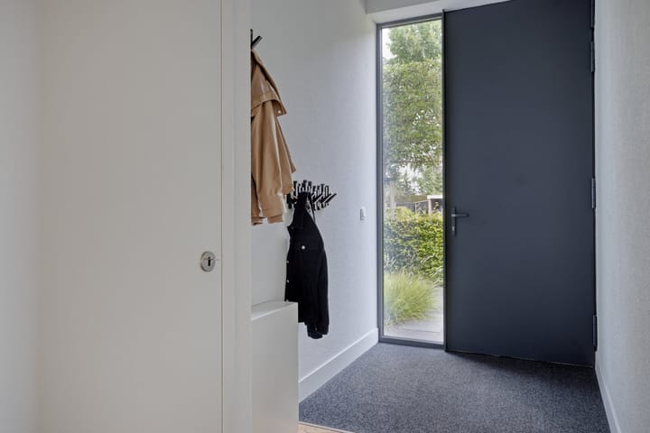 Foto 11 van Vijfvingerkruid 46