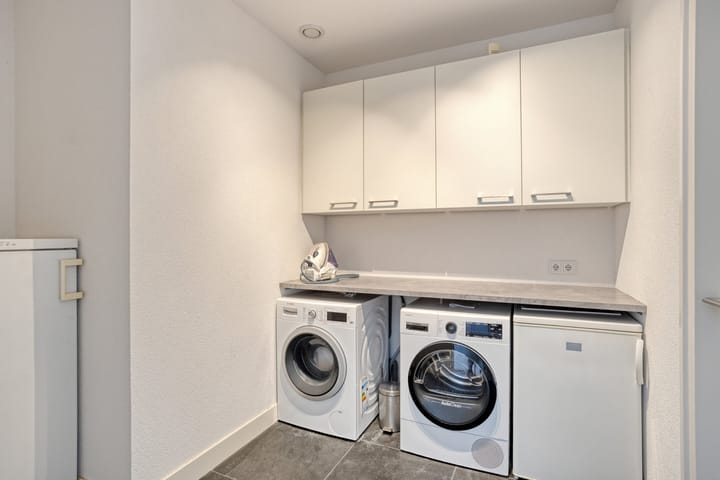 Foto 33 van Vijfvingerkruid 46