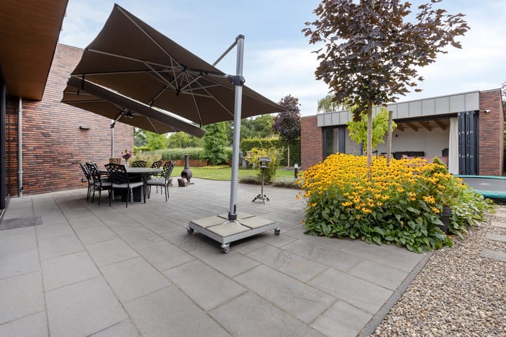 Foto 34 van Vijfvingerkruid 46