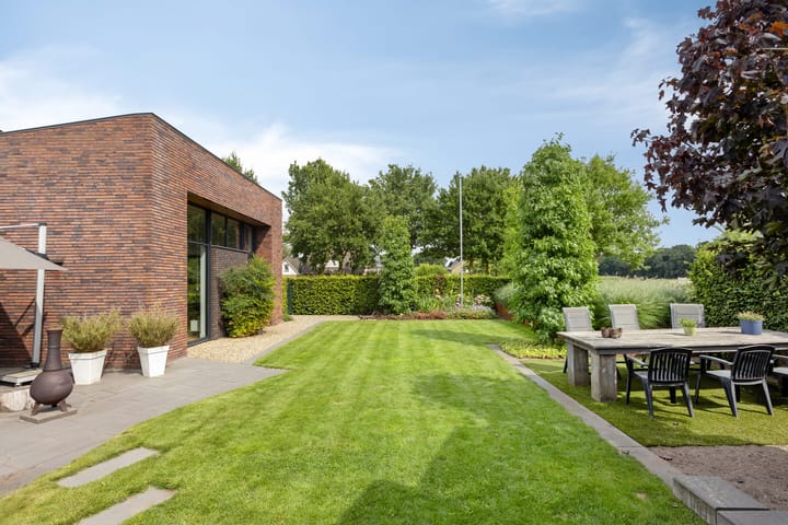 Foto 36 van Vijfvingerkruid 46