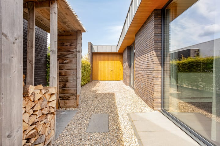 Foto 42 van Vijfvingerkruid 46