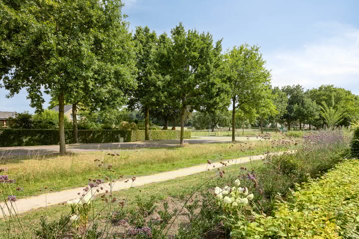 Foto 43 van Vijfvingerkruid 46