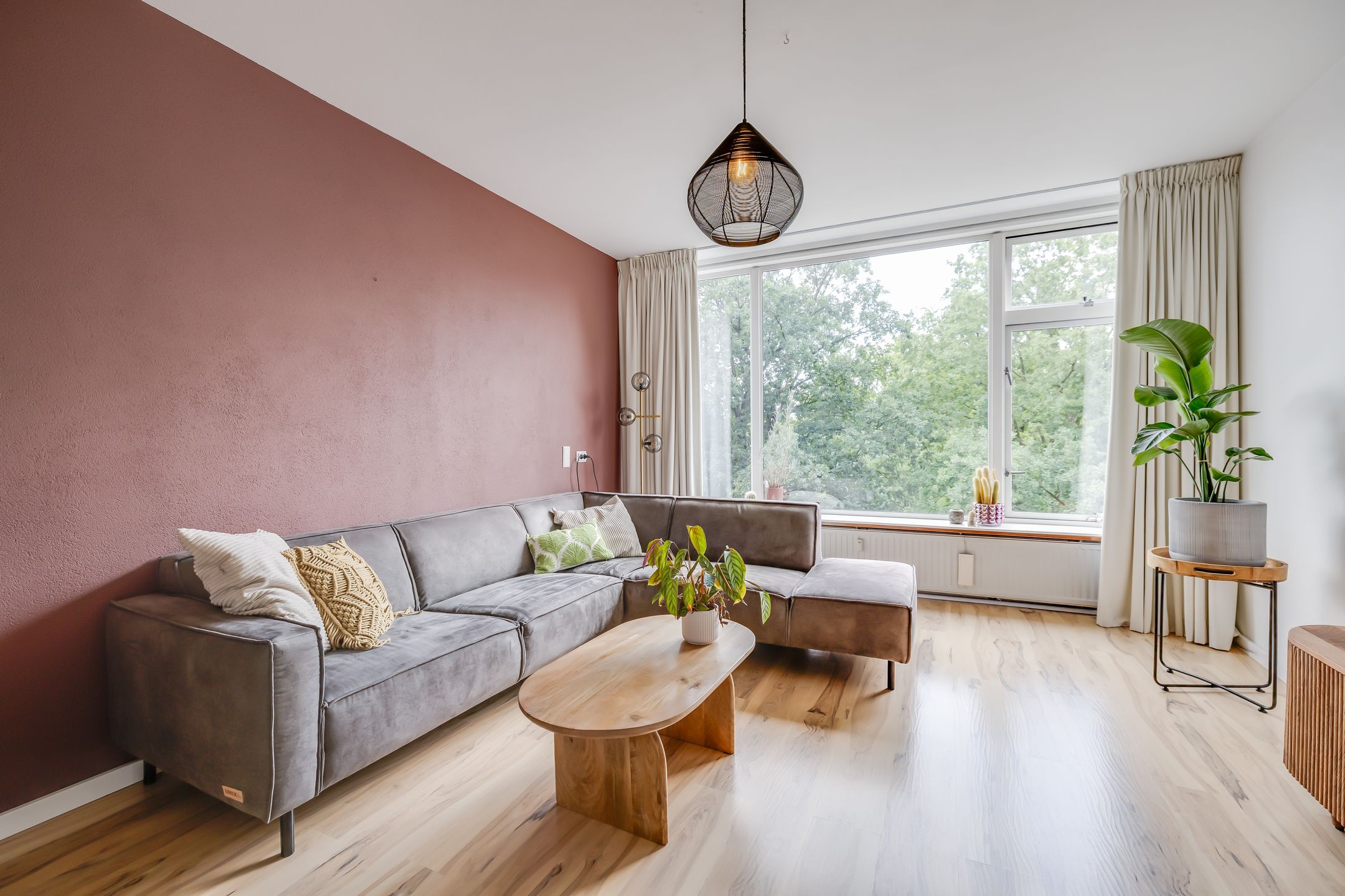 Foto 12 van Hunze 12