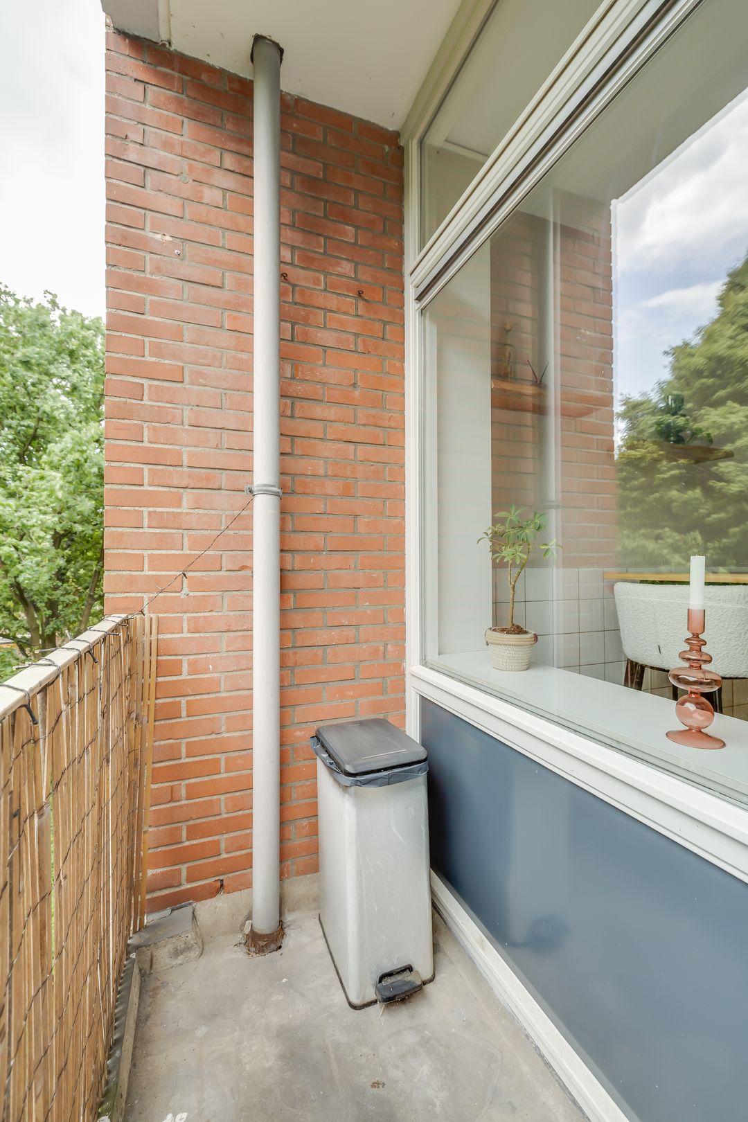 Foto 17 van Hunze 12