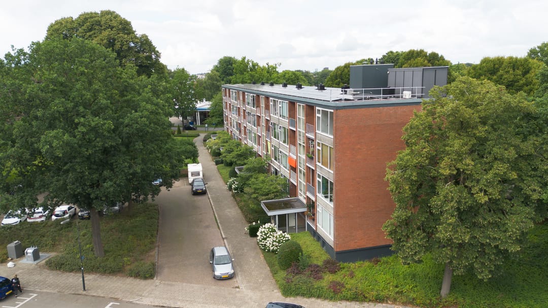 Foto 28 van Hunze 12