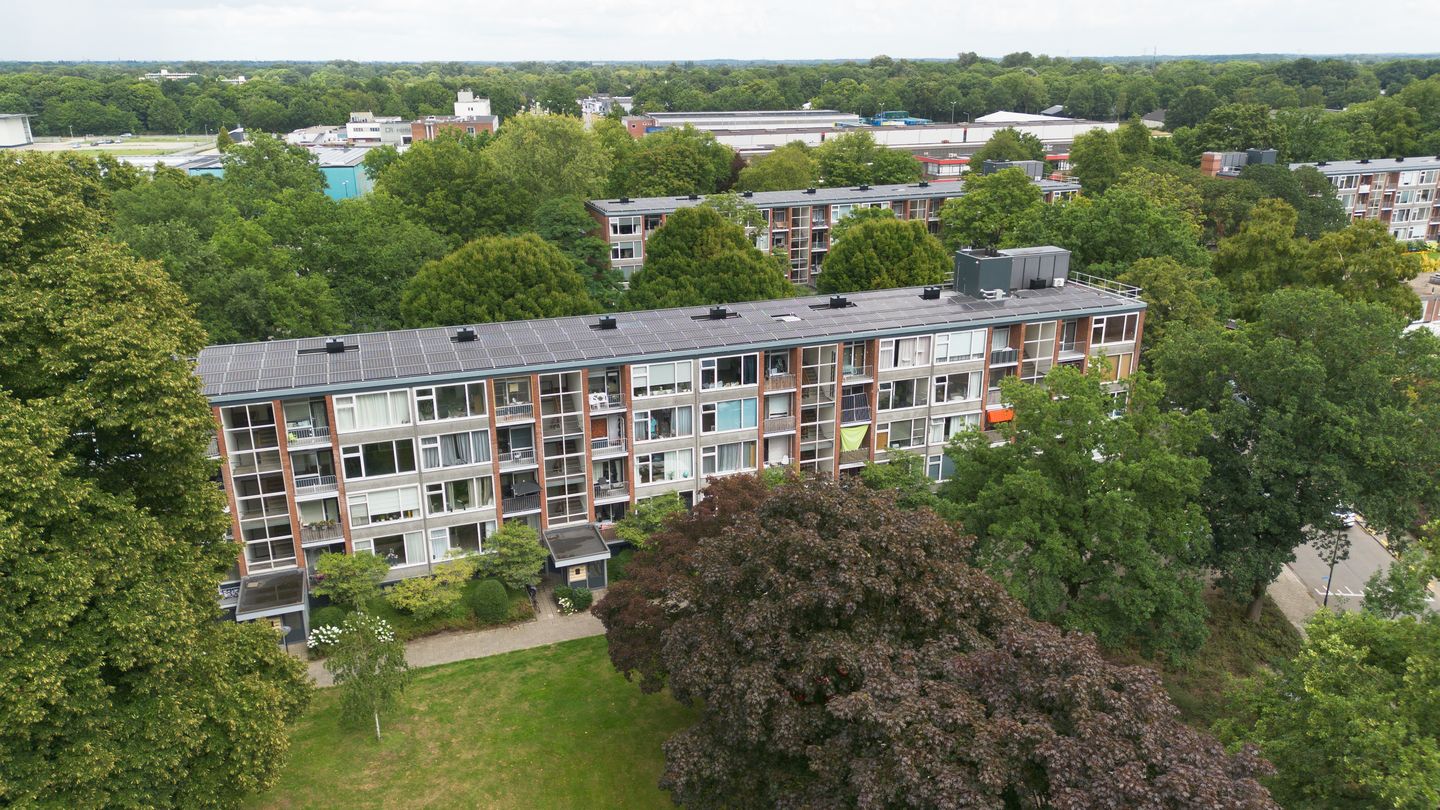 Foto 29 van Hunze 12